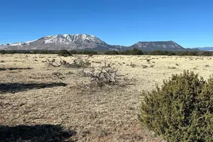 Lot 62 Colorado Land and Grazing, Gardner, CO 81040 - Photo 1