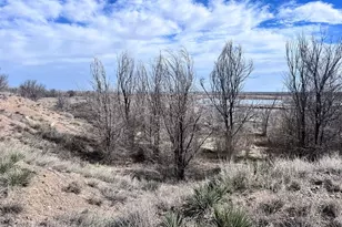 13764 Co Rd HH, Las Animas, CO 81054 - Photo 19