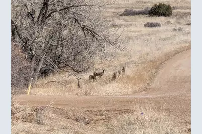 Lot 222 Showalter Dr., Colorado City, CO 81019 - Photo 19