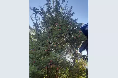 515 N 7th St, Rocky Ford, CO 81067 - Photo 21