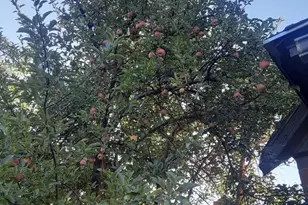 515 N 7th St, Rocky Ford, CO 81067 - Photo 21