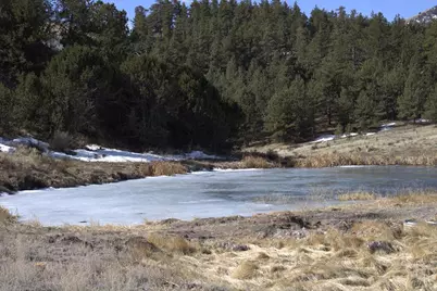 2450 Antelope Lane, Guffey, CO 80820 - Photo 25