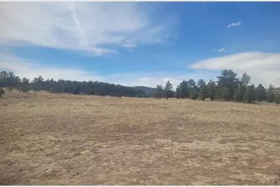 2450 Antelope Lane, Guffey, CO 80820 - Photo 1