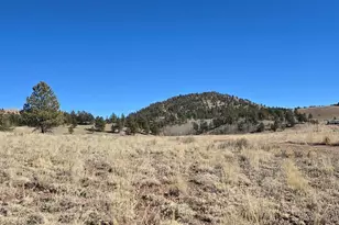 2450 Antelope Ln, Guffey, CO 80820 - Photo 1
