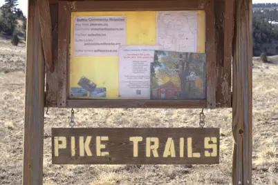 2450 Antelope Lane, Guffey, CO 80820 - Photo 15