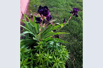 1628 R St, Penrose, CO 81240 - Photo 45