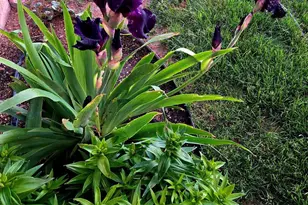 1628 R St, Penrose, CO 81240 - Photo 45