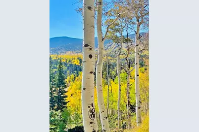 44 Valley Vista Rd #35, Cuchara, CO 81055 - Photo 39