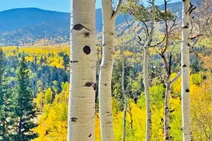 44 Valley Vista Rd, Cuchara, CO 81055 - Photo 39