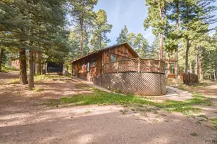 8888 Zorn Rd, Rye, CO 81069 - Photo 7