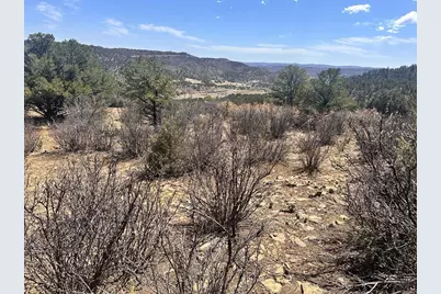 11751 County Rd 31.9, Weston, CO 81091 - Photo 53