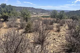 11751 County Rd 31 9, Weston, CO 81091 - Photo 53