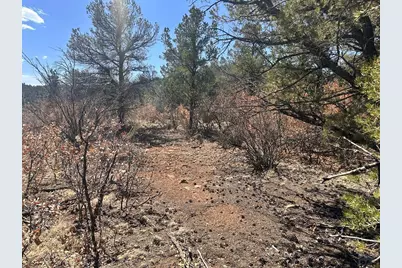 11751 County Rd 31.9, Weston, CO 81091 - Photo 59