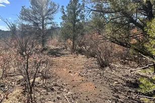 11751 County Rd 31 9, Weston, CO 81091 - Photo 59