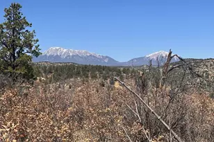 11751 County Rd 31 9, Weston, CO 81091 - Photo 55