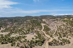 11751 County Rd 31 9, Weston, CO 81091 - Photo 51