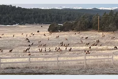 24030 County Rd 43.6, Aguilar, CO 81020 - Photo 9