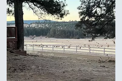 24030 County Rd 43.6, Aguilar, CO 81020 - Photo 11