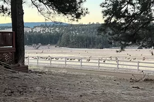 24030 County Rd 43 6, Aguilar, CO 81020 - Photo 11