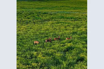 24030 County Rd 43.6, Aguilar, CO 81020 - Photo 9