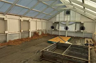 29120 Lynn Rd, Aguilar, CO 81020 - Photo 13