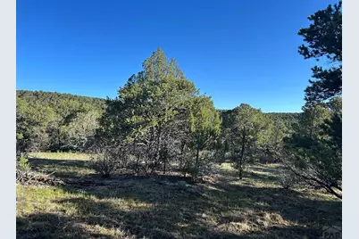 Lot 165 Silver Spurs Ranch, Walsenburg, CO 81089 - Photo 7