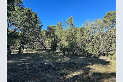 Lot 165 Silver Spurs Ranch, Walsenburg, CO 81089 - Photo 9
