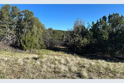 Lot 165 Silver Spurs Ranch, Walsenburg, CO 81089 - Photo 13