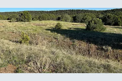 Lot 165 Silver Spurs Ranch, Walsenburg, CO 81089 - Photo 5
