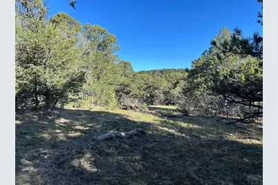 Lot 165 Silver Spurs Ranch, Walsenburg, CO 81089 - Photo 11