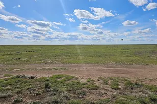 28781 County Rd 24 6, Springfield, CO 81073 - Photo 15