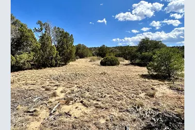 Lot 919 Los Vaqueros Cir., Walsenburg, CO 81089 - Photo 9