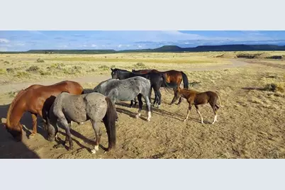 Tbd West Winds Rd, Walsenburg, CO 81089 - Photo 21
