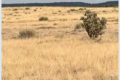 Tbd West Winds Rd, Walsenburg, CO 81089 - Photo 11