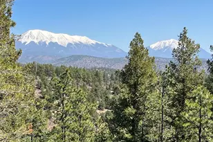 14338 North Ridge, Weston, CO 81091 - Photo 25