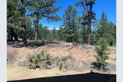 14338 North Ridge, Weston, CO 81091 - Photo 31