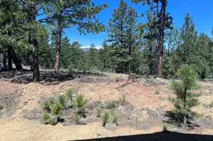 14338 North Ridge, Weston, CO 81091 - Photo 31