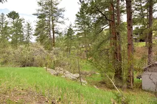 9017 Pine Ave, Beulah, CO 81023 - Photo 27