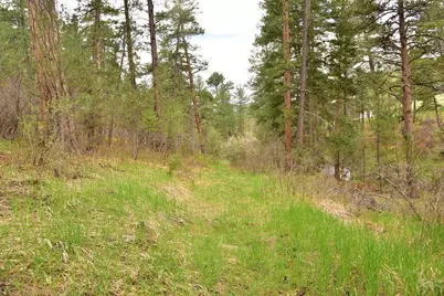 9017 Pine Ave, Beulah, CO 81023 - Photo 25