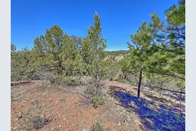 176 Bel Air Way, Cotopaxi, CO 81223 - Photo 15