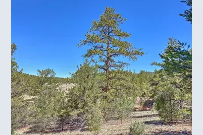 176 Bel Air Way, Cotopaxi, CO 81223 - Photo 5