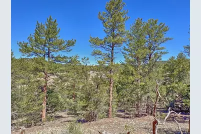 176 Bel Air Way, Cotopaxi, CO 81223 - Photo 7