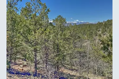 176 Bel Air Way, Cotopaxi, CO 81223 - Photo 9