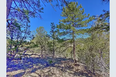 176 Bel Air Way, Cotopaxi, CO 81223 - Photo 11