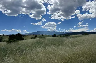 4617 Simpson Dr, Colorado City, CO 81019 - Photo 1