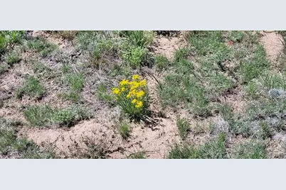 77 Rio Cucharas, Walsenburg, CO 81089 - Photo 9