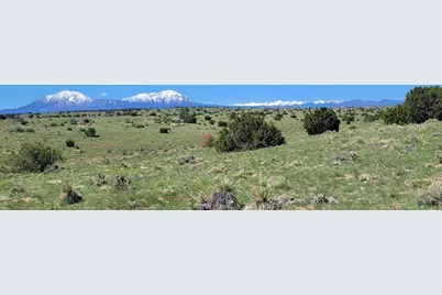 77 Rio Cucharas, Walsenburg, CO 81089 - Photo 3