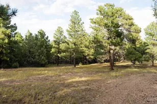 538 Rugby Mines Rd, Walsenburg, CO 81089 - Photo 67