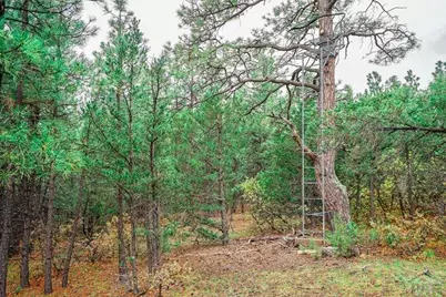 538 Rugby Mines Rd, Walsenburg, CO 81089 - Photo 47