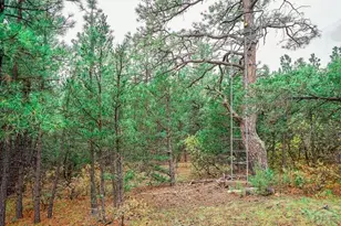 538 Rugby Mines Rd, Walsenburg, CO 81089 - Photo 47